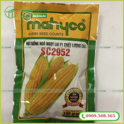 Bao bì đựng giống bắp