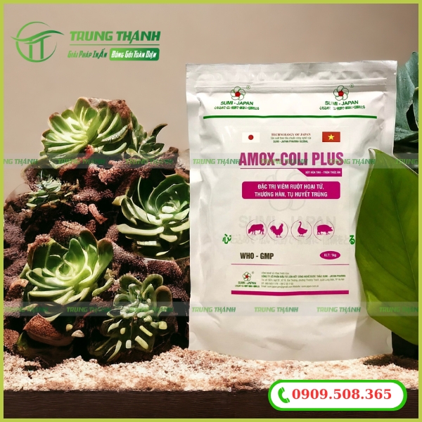 Bao bì thuốc thú ý giá rẻ