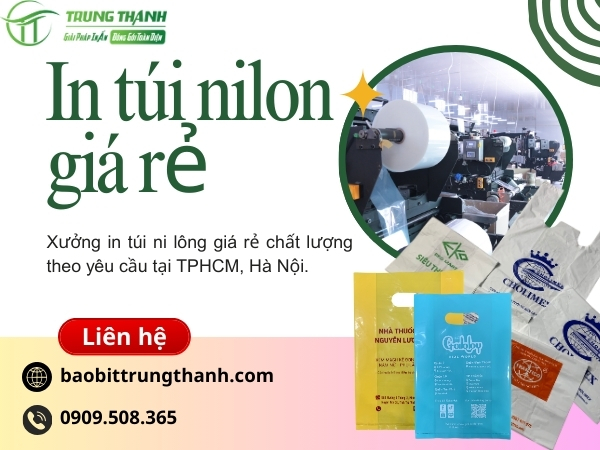 Chuyên in túi nilon theo yêu cầu giá rẻ