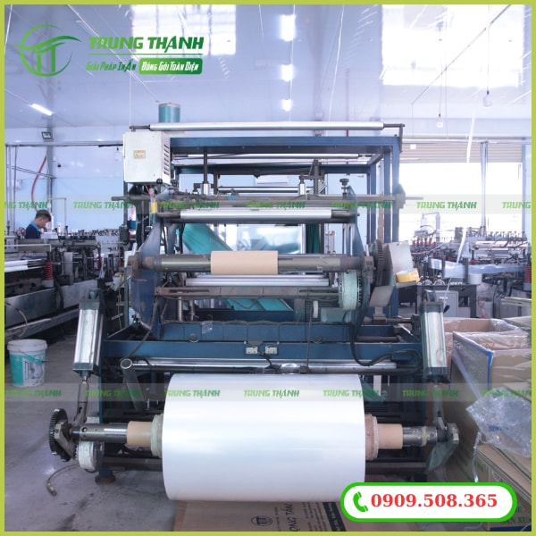 Cơ sở sản xuất bao bì găng tay giá rẻ uy tín tại TPHCM