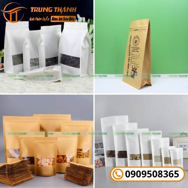 Đa dạng kiểu dáng túi zip giấy đẹp