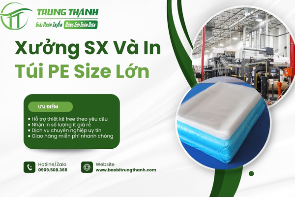 Tìm hiểu chi tiết túi PE size lớn