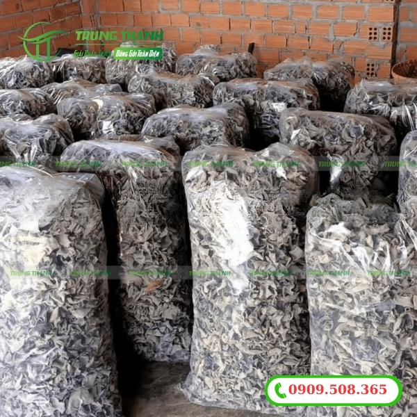 Túi PE cỡ lớn đựng nông sản