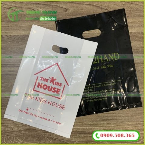 Túi hột xoài PE in ấn đẹp