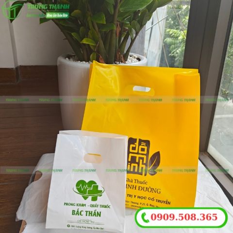 Túi hột xoài in logo thương hiệu