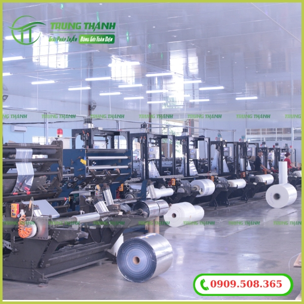 Xưởng sản xuất và in ấn bao bì mít sấy uy tín giá rẻ tại Trung Thành
