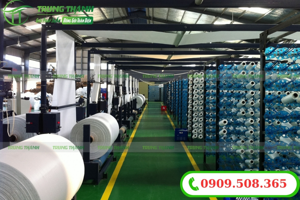 Xưởng sản xuất và in ấn bao bì tại Trung Thành