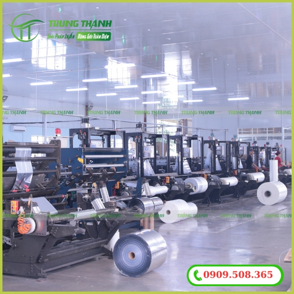 Xưởng sản xuất và in bao bì cá Basa tại Trung Thành