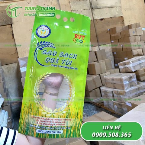 Mẫu túi đựng gạo có quai nắm thiết kế in ấn đẹp