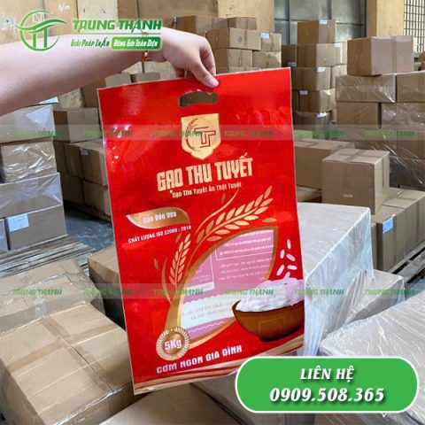 Thiết kế bao bì đựng gạo chuyên nghiệp, in ấn sắc nét, đẹp mắt