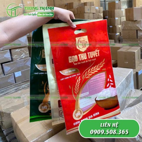 Thiết kế, in ấn bao bì đựng gạo chuyên nghiệp tại TPHCM