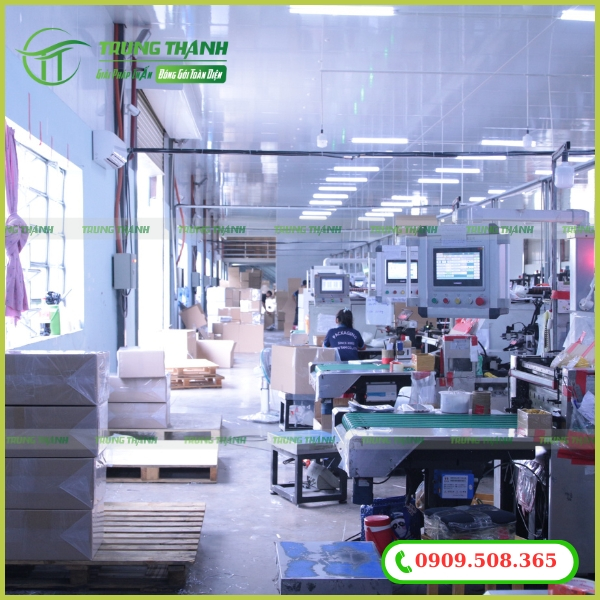 Cơ sở sản xuất và in túi zip nhỏ giá rẻ chất lượng tại TPHCM