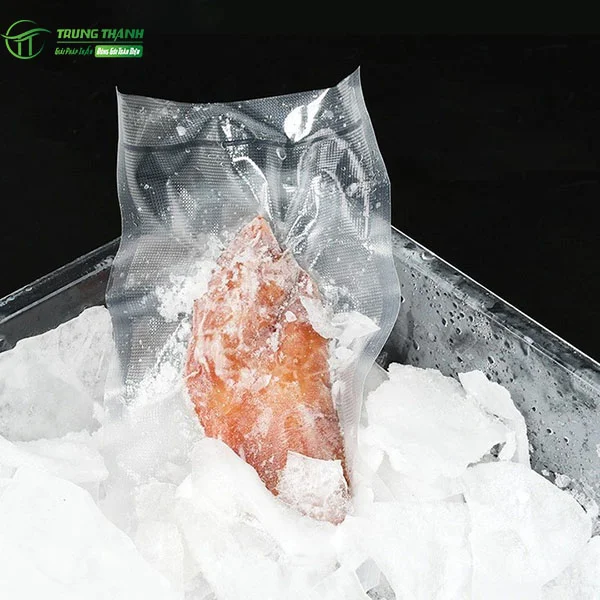 Túi bảo quản thực phẩm đông lạnh 