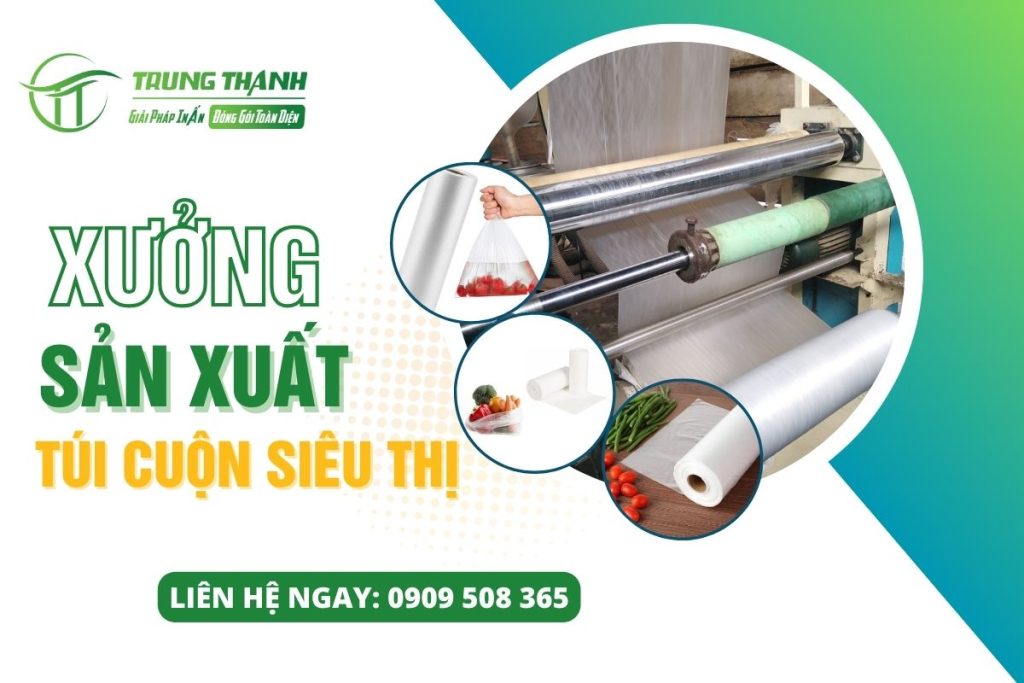 xuong san xuat tui cuon sieu thi