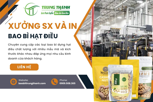 Chuyên cung cấp mẫu túi đựng hạt điều giá rẻ tại TPHCM