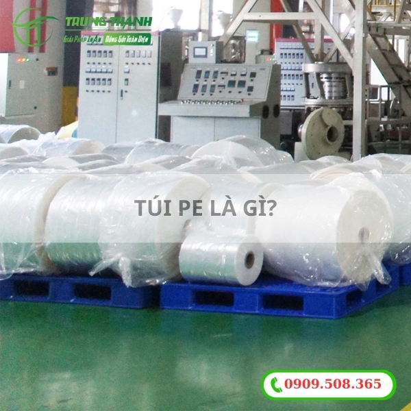 Túi PE là gì