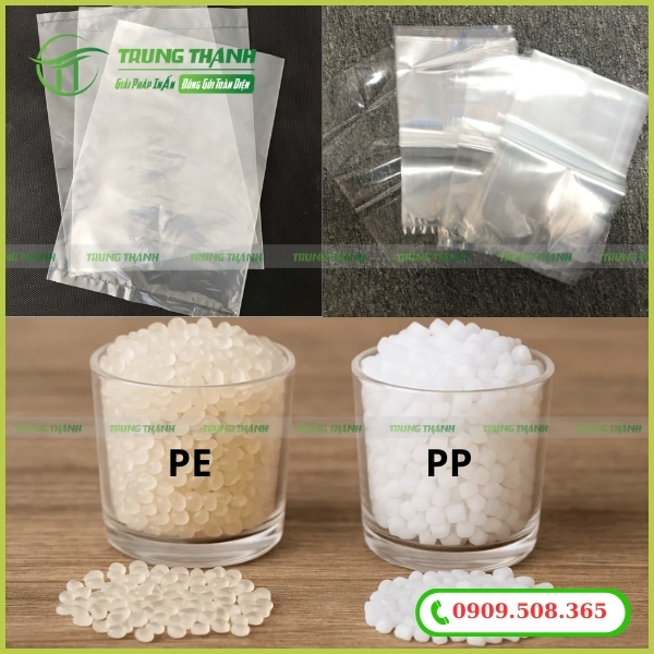 Túi PE và túi PP