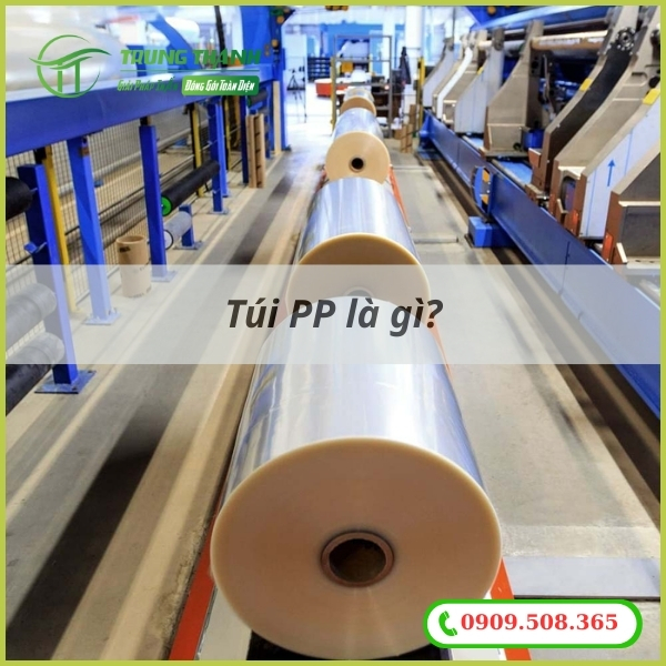 Túi PP là gì?