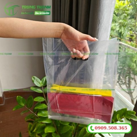 Túi ni lông PE trong suốt