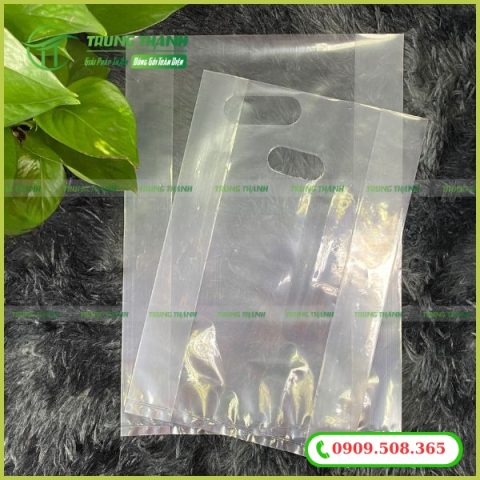 Túi pp trong hột xoài