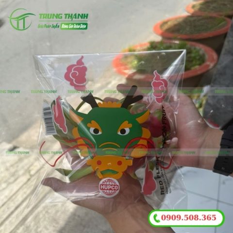 Bọc OPP đựng thanh long