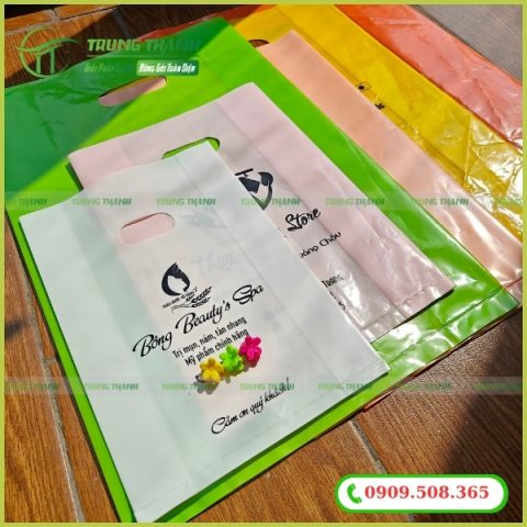 In túi hột xoài HD cực sắc nét