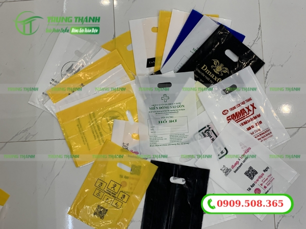 Tìm hiểu 1 kí túi hột xoài có bao nhiêu cái