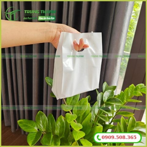 Túi HD hột xoài loại nhỏ