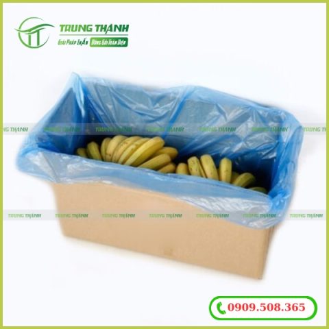 Túi lót HD đựng thực phẩm