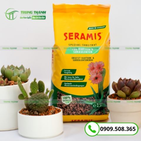 Bao bì đất trồng chất lượng