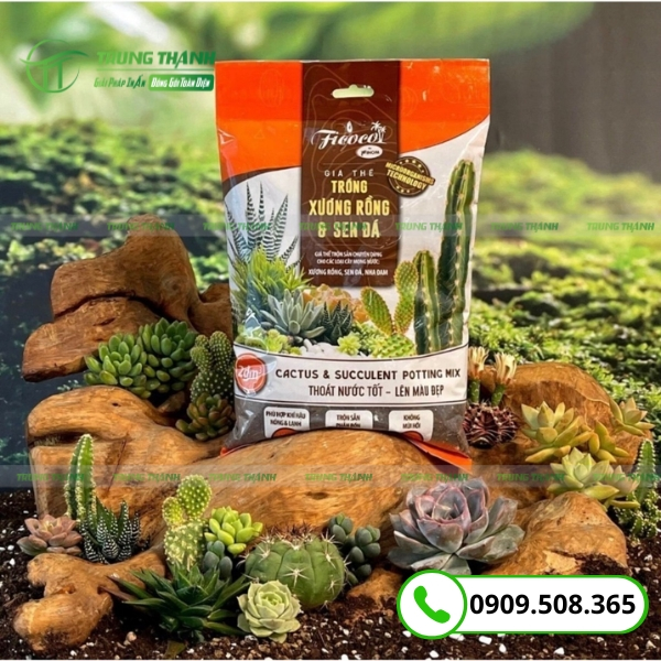 Bao bì màng ghép đựng giá thể trồng sen đá