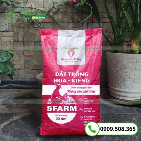 Túi đựng đất trồng hoa hồng