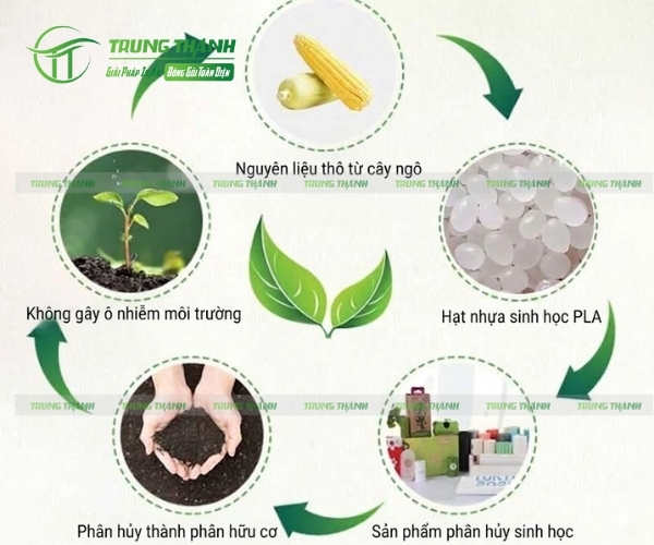 Quá trình phân hủy sinh học