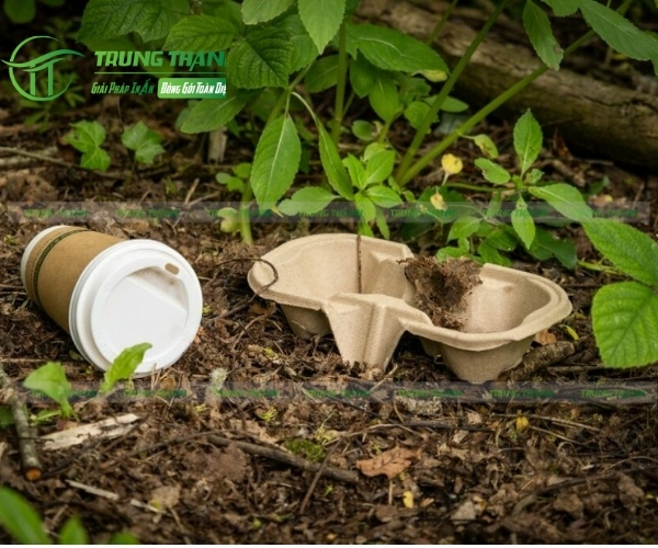 Quá trình phân rã nhanh chóng trong môi trường