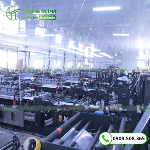 Xưởng sản xuất túi đựng tinh bột sắn dây